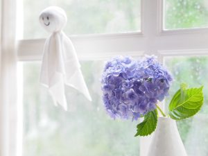 毎日のケアやその他の対策に加えて、日常生活の中でちょっとした工夫をすることで、さらに安心して梅雨を過ごせます。