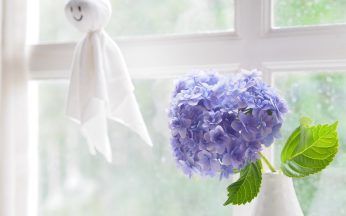 毎日のケアやその他の対策に加えて、日常生活の中でちょっとした工夫をすることで、さらに安心して梅雨を過ごせます。