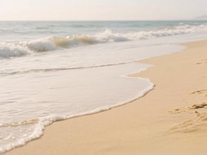 海辺では、風や波の音で、人の声がうまく聞き取れないかもしれません。その時は、補聴器の機能やプログラムを活用しましょう。